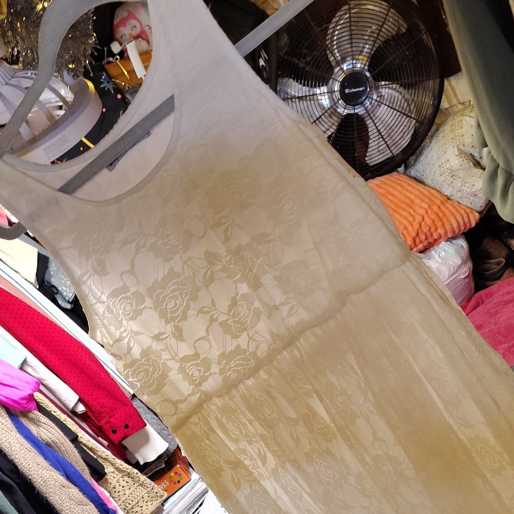 Chic Cream Lace Sleeveless Dress